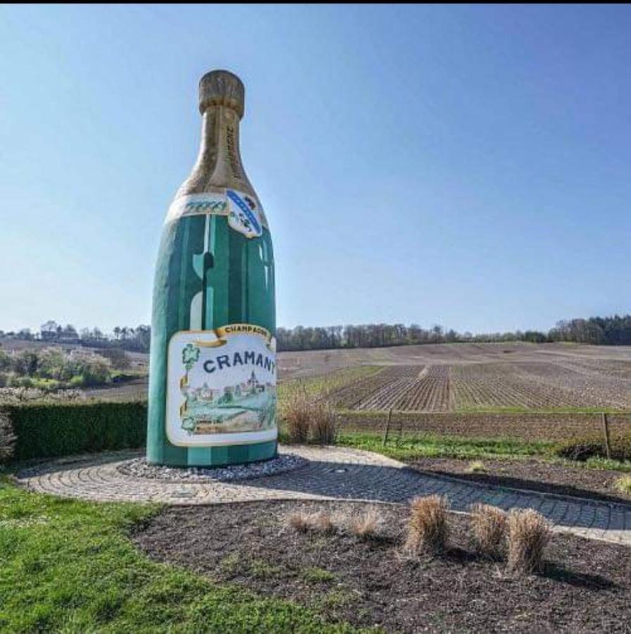 Gite En Champagne Le Sarment Cramant Luaran gambar