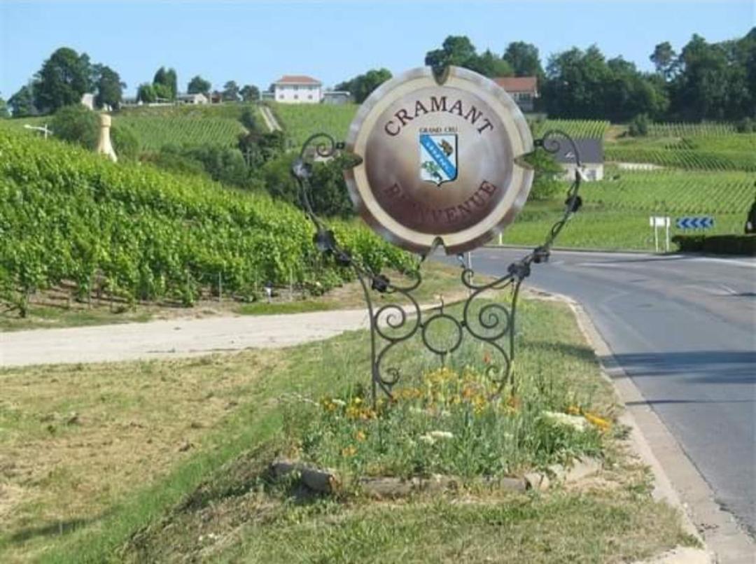 Gite En Champagne Le Sarment Cramant Luaran gambar