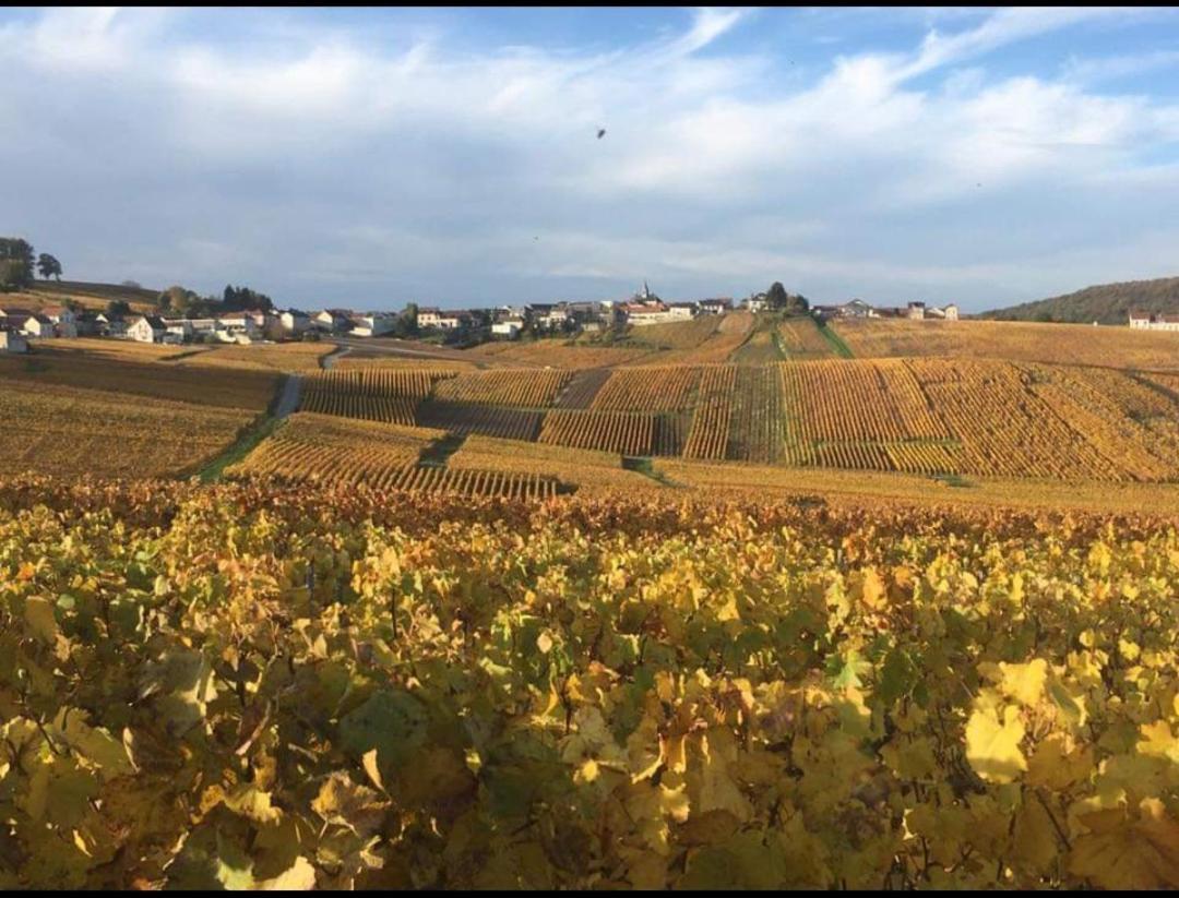 Gite En Champagne Le Sarment Cramant Luaran gambar