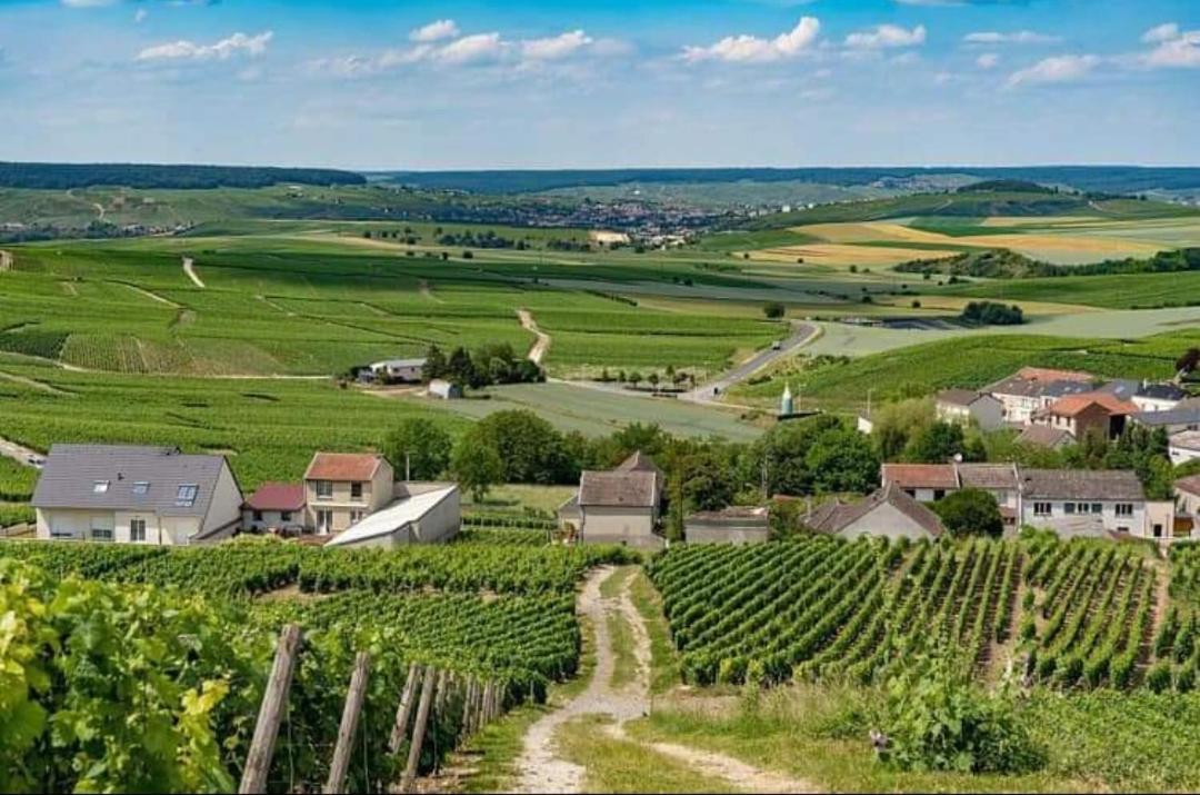 Gite En Champagne Le Sarment Cramant Luaran gambar