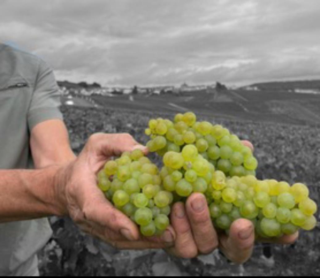 Gite En Champagne Le Sarment Cramant Luaran gambar